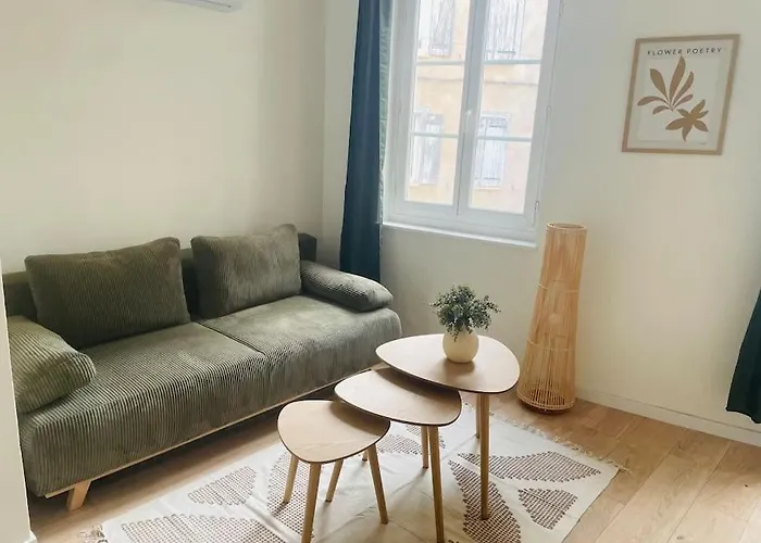 Appartement Le Borel I Castres (Tarn)